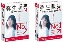 弥生販売 20プロフェッショナル