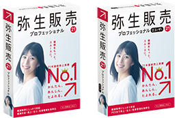 弥生会計 21プロフェッショナル